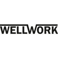 Wellwork Delta-Haftschleifblätter 96 mm