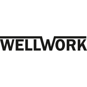 Wellwork Delta-Haftschleifblätter 105 mm