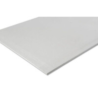 Knauf Gipskartonplatte Horizonboard GKF 12,5 mm 1250 x 2000 mm 2,5 m²
