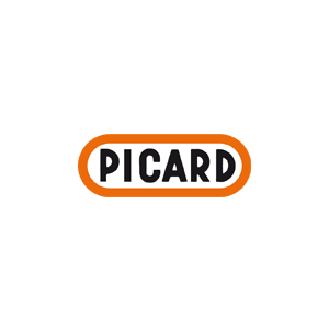 Picard Meißelmeister